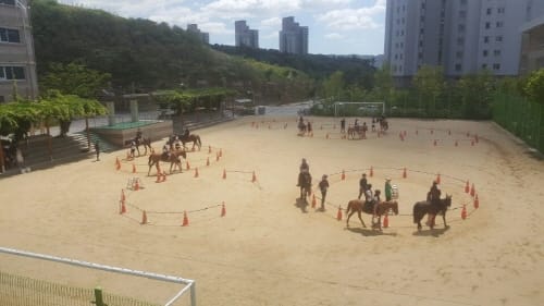 한솔고등학교, 이색수업 ‘찾아가는 승마교실’ 열어 post image