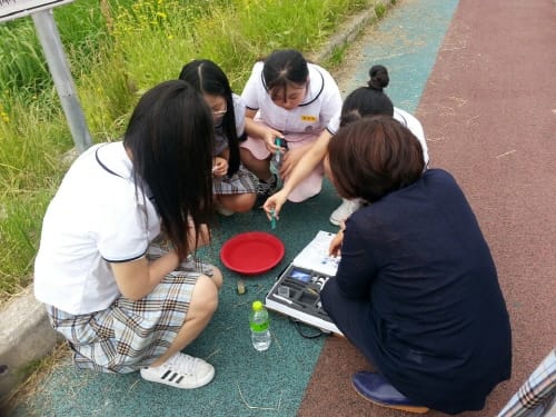 조치원여자중학교, 지역하천 사랑을 위해 구슬땀 post image