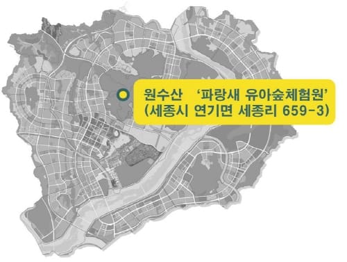 행복도시 ‘파랑새 유아숲체험원’ 동절기 참가 모집 post image