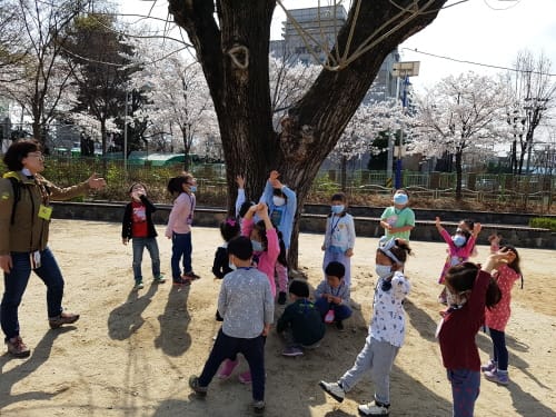대전유아교육진흥원, 찾아가는 더불어 숲 체험 운영 post image