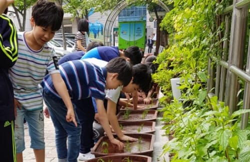 부여군 친농연, 학교 모내기 체험 행사 추진 post image