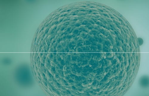 무균공정 위한 ‘세포 회수용 튜브 및 주사 키트’ 특허 등록 post image