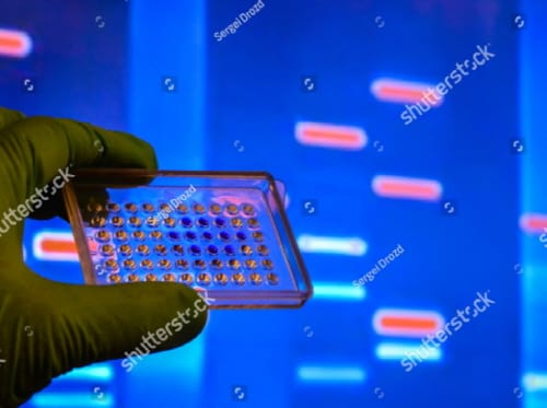 미래 新성장동력 ‘마이크로바이옴산업’ 집중 육성 post image