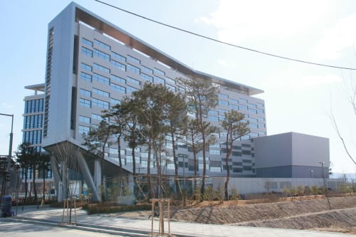 코로나19 확진자 밀접 접촉 도담초 교직원 및 학생 검사 결과 전원 음성 post image