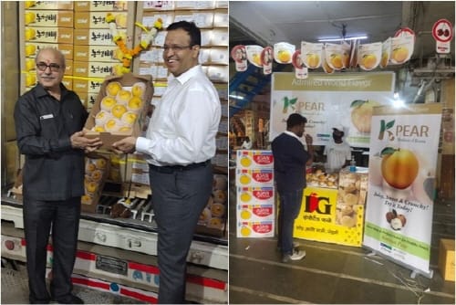 농식품 수출 사상 첫 5억 달러 돌파 post image