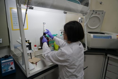 ‘농산물 잔류농약 분석능력’ 국제적 공인 받아 post image