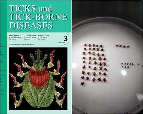 대전보건환경硏, 진드기 연구 국제적 우수성 입증 post image