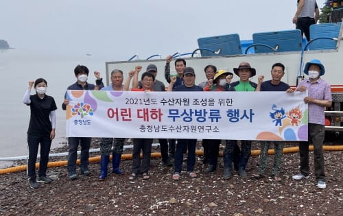 서해연안에 어린 대하 2000만 마리 방류 post image