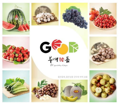 부여, 새로운 부여10품 집중 육성한다 post image