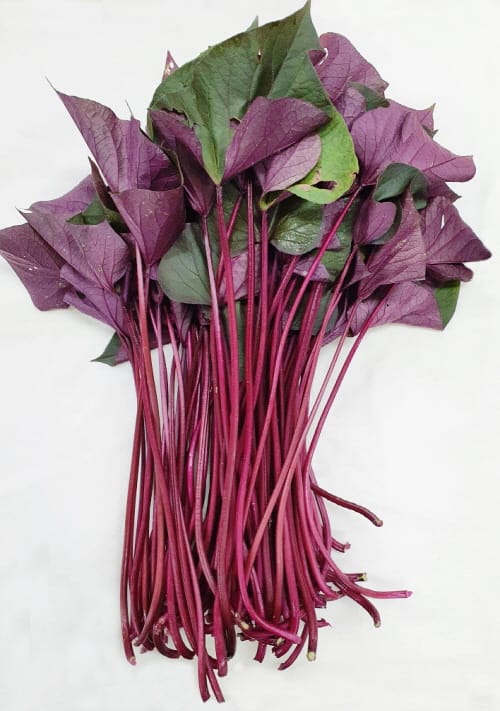 껍질째 먹는 잎자루 전용 고구마 ‘통채루’ 내년 분양 post image