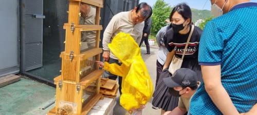 “자연이 선물한 벌꿀, 직접 맛보고 수확해요” post image