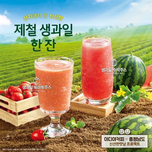 충남 수박·토마토, 이디야커피에서 즐겨요 post image