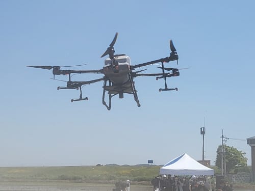 “드론으로 논에 직접 파종 해요” post image