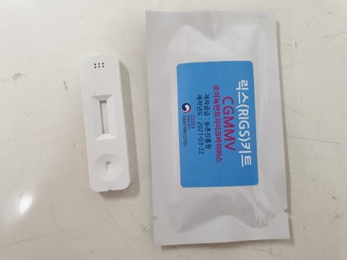 작물 바이러스·세균 진단키트로 신속진단 post image