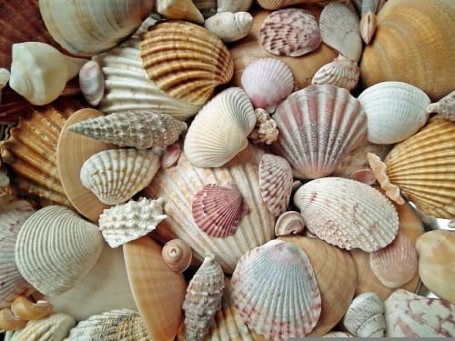 수산종자 인공지능 데이터 구축 착수 post image