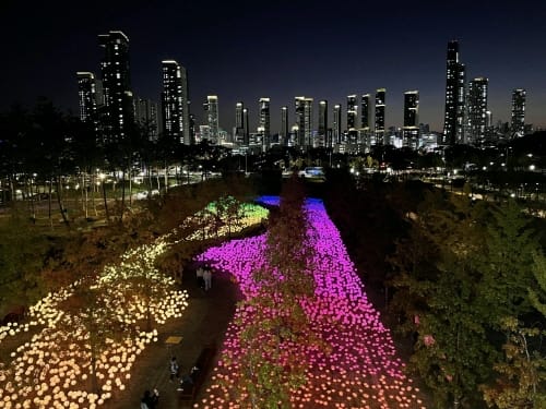 세종에 꽃피운 모두의 정원 43만 명 즐겼다 post image