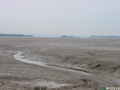 정부에 ‘블루카본 정책 활성화’ 제안 post image