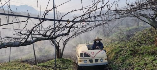 배·사과 재배농가 화상병 약제 무상 배부 post image