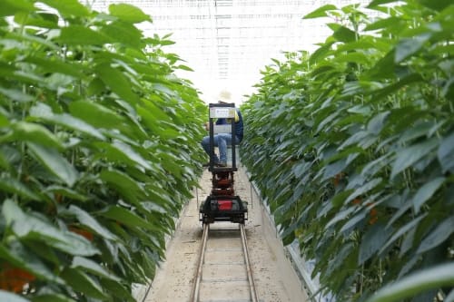 원도심 공실 건물에 스마트팜 조성한다 post image