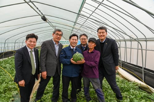 부여군, 고품질 부여수박 충남지역 첫 출하 post image