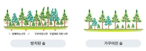 완충녹지 생태환경 개선사업 본격 추진 post image