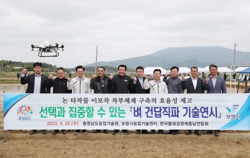 노동력 85% 절감 ‘벼 직파’ 20배 늘린다 post image