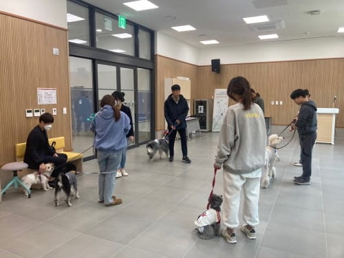 대전반려동물공원, 상반기 반려동물 교육 프로그램 운영 확대 post image