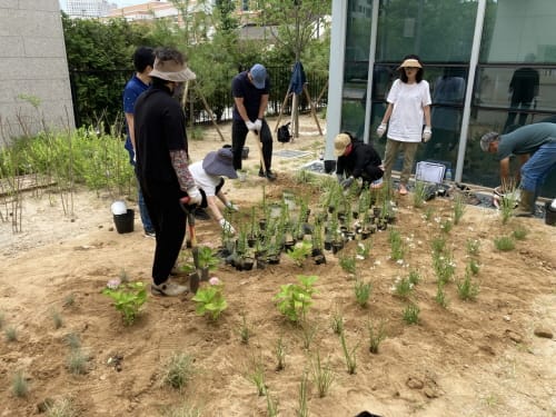 나성동, 시민이 참여하는 힐링 정원 조성 post image