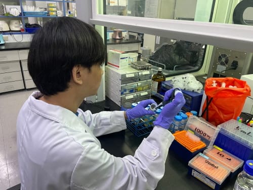 여름철 안전관리 취약 농산물 집중검사 post image