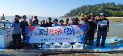고소득 수산자원 주꾸미 60만 마리 방류 post image