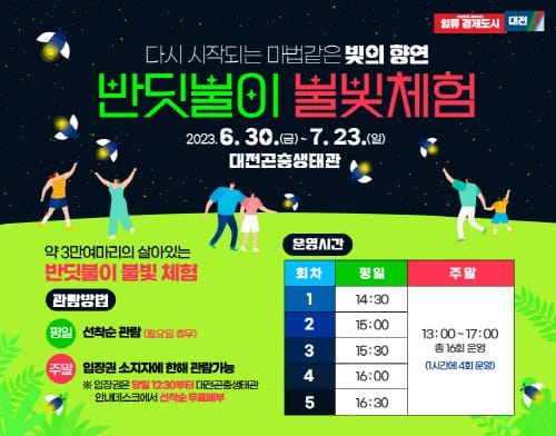 마법같은 반딧불이 빛의 향연 post image