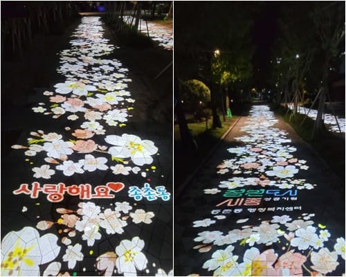 한여름밤의 꽃길, 종촌동에서 함께 걸어요 post image