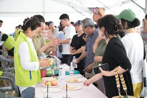 [포토] 세종 조치원복숭아 축제 post image
