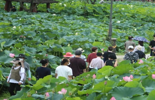 부여, 올해 ‘관광객 400만 시대’ 목표 조기달성 기대 post image