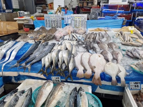 일본산 수입 수산물 원산지 철저히 살핀다 post image