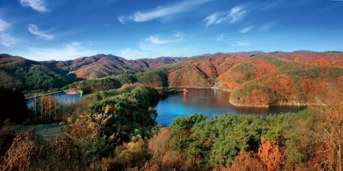 충남의 알프스 칠갑산도립공원 가을맞이 post image
