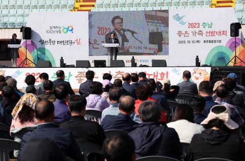 충남 대표 한우·젖소 가렸다 post image