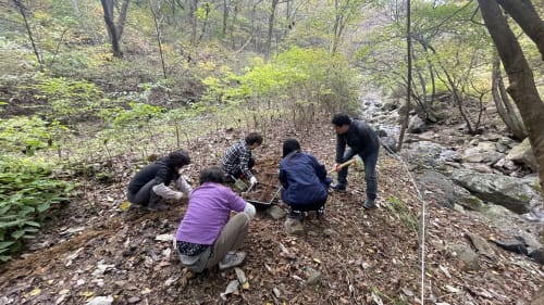 멸종위기 식물 6종 복원 추진 post image