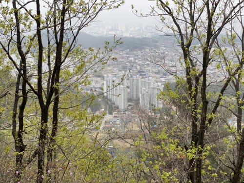 대전시, 개발제한구역 관리실태 시·구 합동점검 post image