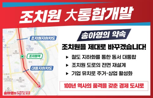 송아영 예비후보, “조치원 大통합개발 하겠다” post image