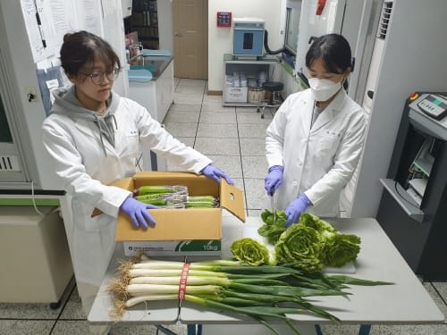 대전보건환경연구원, 집단급식소 납품 농산물 안전성 검사 post image