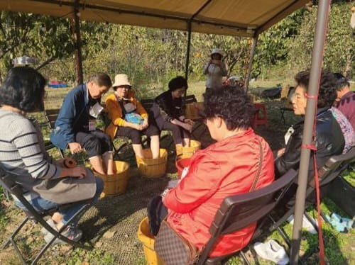 치매노인 위한 치유농업 프로그램 ‘눈길’ post image