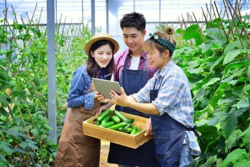 청년 스마트팜 경영 역량 충남이 인증한다 post image