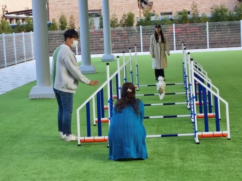 대전반려동물공원 상반기 교육프로그램 운영 post image