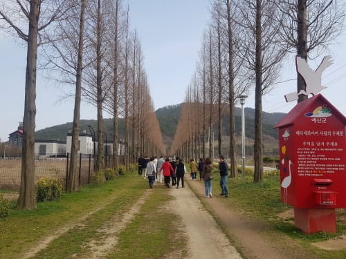 ‘토닥토닥’ 내포문화숲길서 몸·마음 쉰다 post image