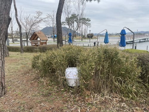 세종시, SFTS 매개 참진드기 감시 시작 post image