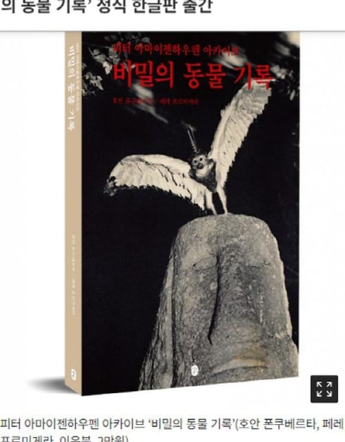 30년 전 밀리언 베스트셀러 ‘비밀의 동물 기록’ 정식 한글판 출간 post image