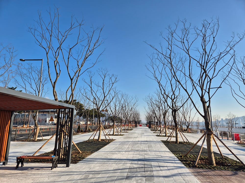 도시상징광장 2단계 조성 완료, 10일부터 개방... 중앙공원, 국립어린이박물관 등과 시너지로 도심활성화 기대 post image