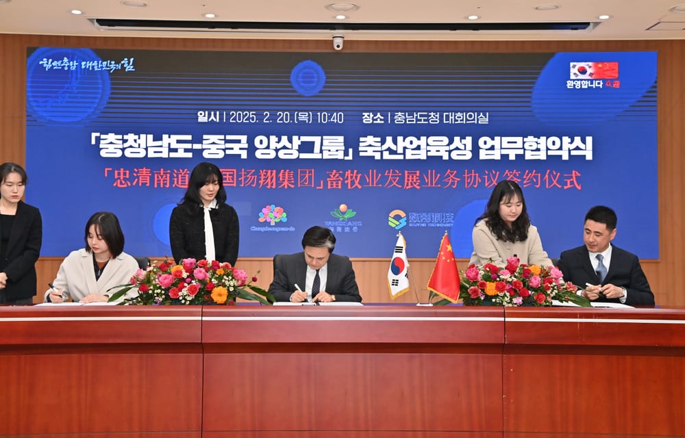 ‘AI 돼지빌딩’ 기술·장비 도입 나선다 post image
