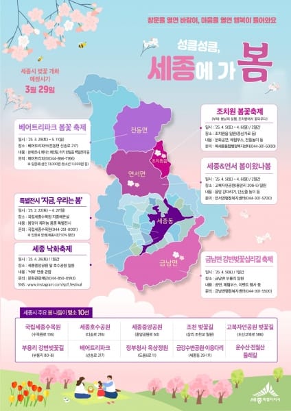 성큼 다가온 봄, 세종에 꽃 보러가지 않을래? post image